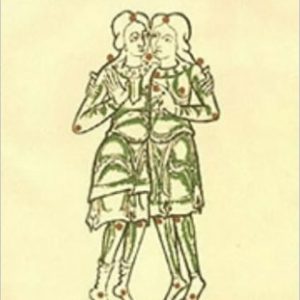 A History of Western Astrology by S. J. Tester