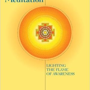 Vedantic Meditation: Lighting the Flame of Awareness  by David Frawley